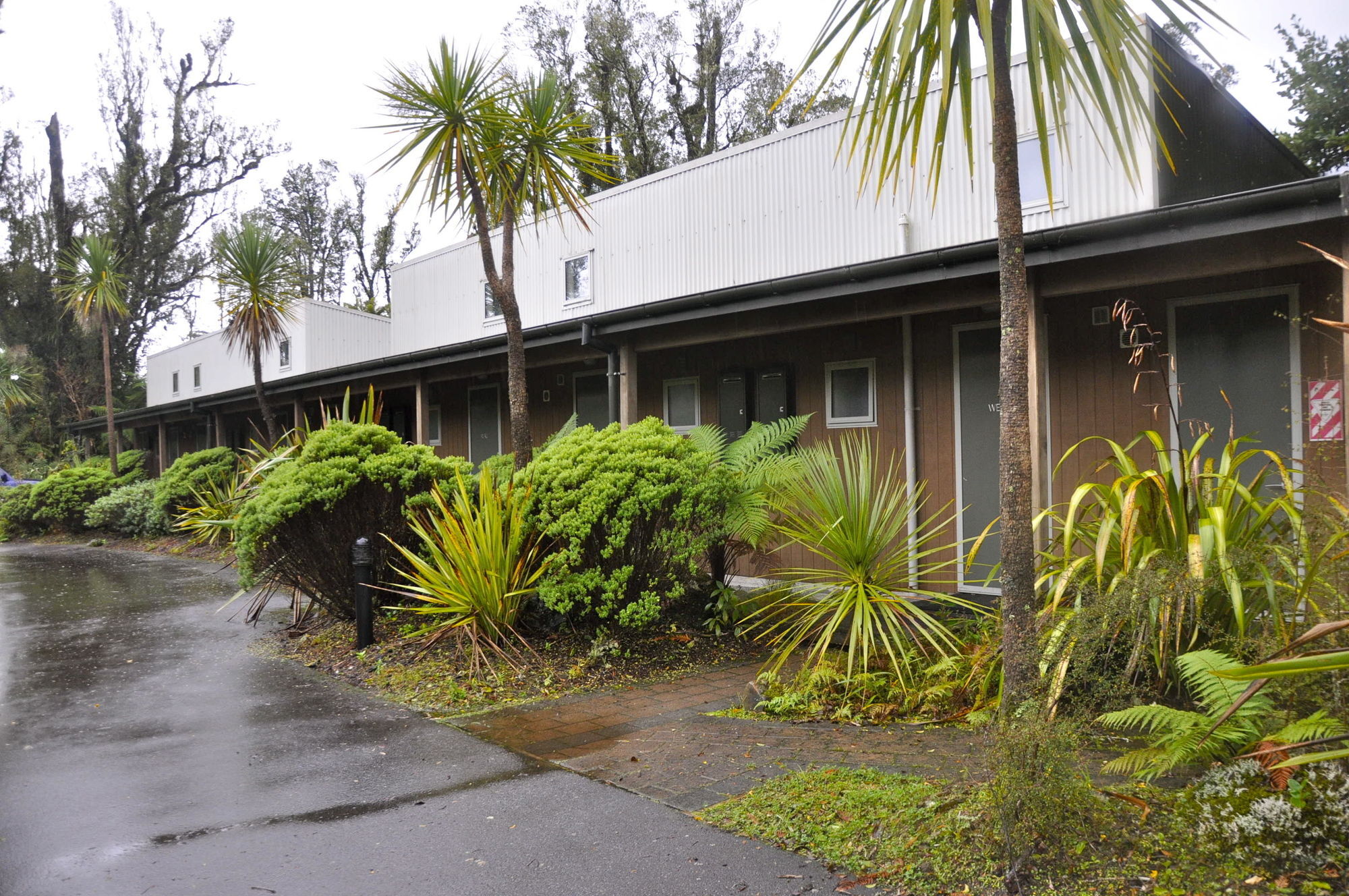 Punga Grove Motel Franz Josef Dış mekan fotoğraf